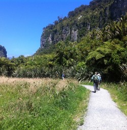 Hiking in Paparoa National Park