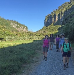 Afternoon Hiking near Punakaiki
