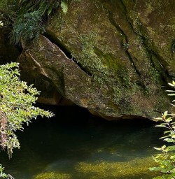 Paparoa National Park 03FEB25