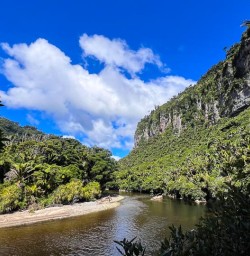 Paparoa National Park 17FEB25