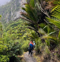 Paparoa National Park 20JAN25 2