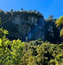 Paparoa National Park G24FEB25