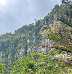 Paparoa National Park MP01DEC25