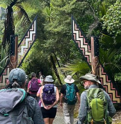 Paparoa National Park hiking tour 03FEB25