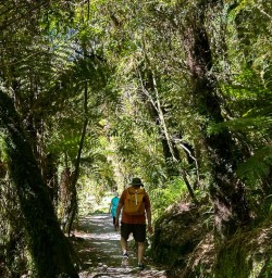 Paparoa National Park hiking tour G24FEB25