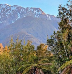 Paparoa Nationalpark Mountain views MP03NOV25