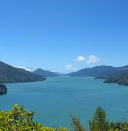 Pelorus Sound KC17NOV25