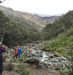 Mt Rolleston