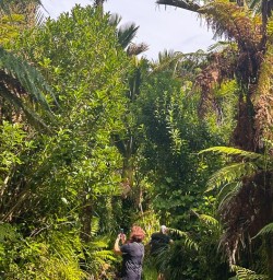 Pororari National Park 10FEB25