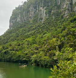 Pororari River Track 20JAN25