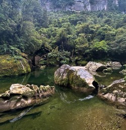 Pororari River Track K24MAR25