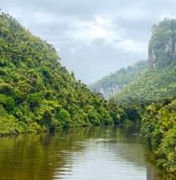 Pororari River Track KC10NOV25