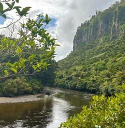 Pororari River Track MP19JAN26