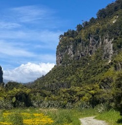 Pororari River Track RM03NOV25