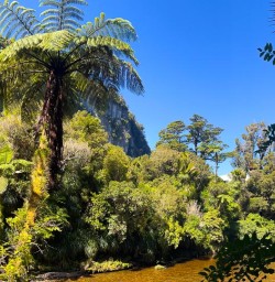 Pororari River Track RM09FEb26