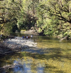 Hiking Group by Pororari RIver Rainforest