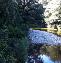 Pororari River