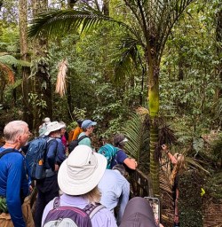 Pureora Forest hiking tour 03MAR25