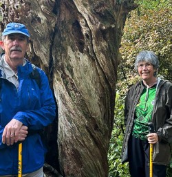 Pureora Forest hiking tour 17FEB25