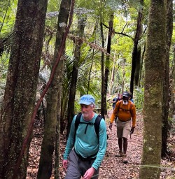Pureora Forest walking tour 03MAR25