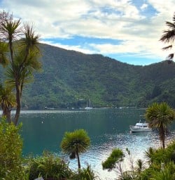 Queen Charlotte Sound MP02FEB26