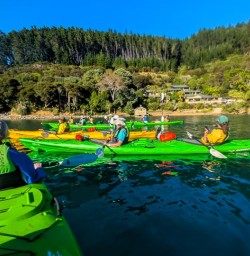 Queen Charlotte Sound kayaking tour 03FEB25 2