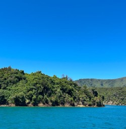 Queen Charlotte Sounds MP10NOV25
