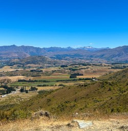 Queenstown Hill 03FEB25