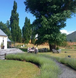 Winery lunch
