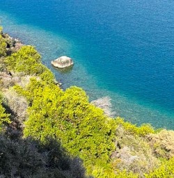 Queenstown trails 17FEB25