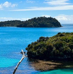 Rakiura Track4