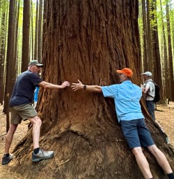 Redwoods Hike 11FEB25