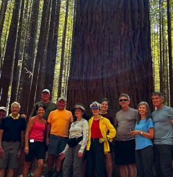 Redwoods hike Whakarewarewa Forest 04FEB25