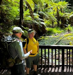 Redwoods in Whakarewarewa 18FEB25