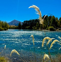 River Wanaka walking tour R03MAR25