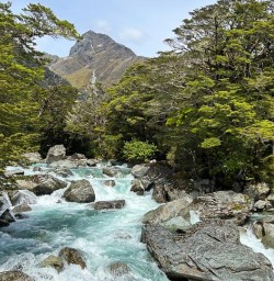River walk Routeburn Track 07FEB25