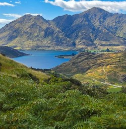 Rocky Mountain Track Wanaka RM26JAN26