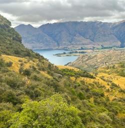 Rocky Mountain Track in Wanaka MP09FEB26