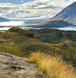 Rocky Mountain track Wanaka PS19JAN26