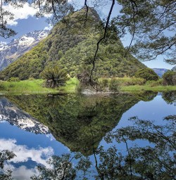 Routeburn Flat