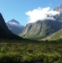 Milford Road