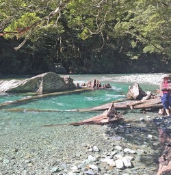 Riverside break on the Routeburn Track