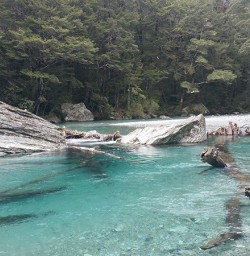 Clear blue water