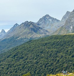 Routeburn Track New Zealand