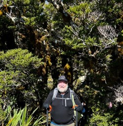 Routeburn Track forest 24MAR25