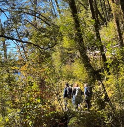 Routeburn Track guests hiking GW29OCT25