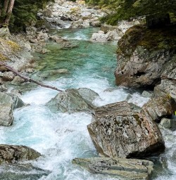Routeburn Track hike GW09JAN25