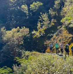 Routeburn Track hiking tour 10FEB25