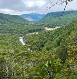 Routeburn Track hiking tour GW09JAN25