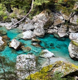 Routeburn Track river 01APR25